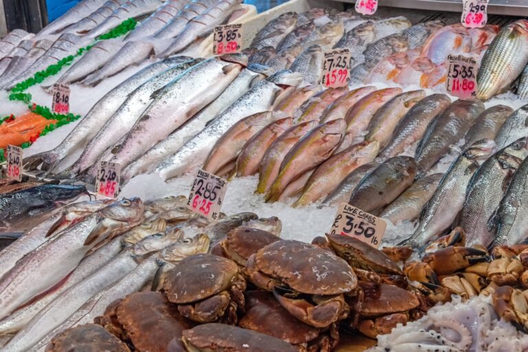 Seafood for sale in a wet market in the concept of 'best local shops and markets in Weymouth'.